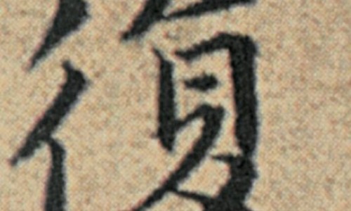 向日葵盘 副作用是什么-向日葵盘 副作用网-分享向日葵盘 副作用是什么，向日葵盘有药用价值吗知识库